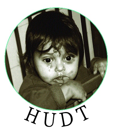HUDT Logo